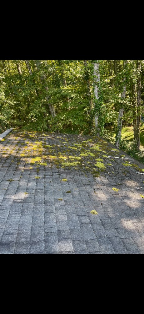 Roof Revival: Unveiling the Art of Roof Washing in Rock Hill, SC